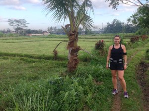 Rural views along the track
