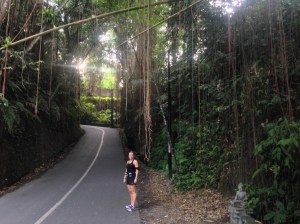 Anyone remember "Pompel and Pilt"? With the forrest of ropes?