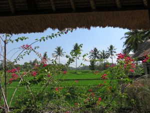 Eat, Pray, Love - house