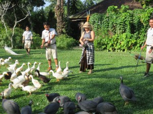 Is it a local? Is it a farming lady? NO, it's Katja!