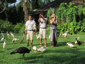 Like a royalty waving to the crowd after the show