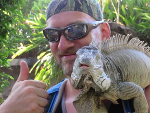 Humongen & Iguana (Iguana to the right)