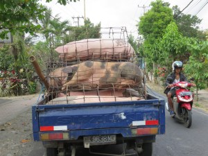 Bacon transport