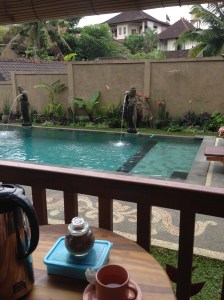 View from the new terrace