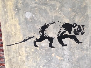 Luwak painted on the wall @ Anomali Coffee