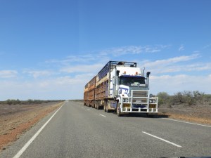 Whoa, when something happens - it's big, fast and ugly