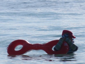 Seen anything like it before?