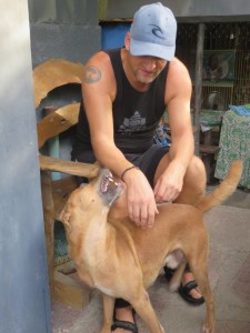 Remember the dog with the name "Street dog"? Not everyone gets to cuddle with this one.