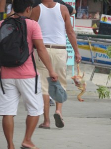 "Jasså, ute å lufter høna?!?"