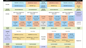 Training schedule for the week