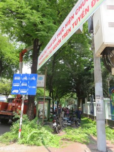 Close call for Katja with the branches falling