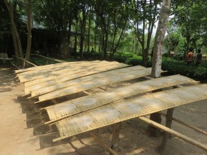 Rice paper drying in the sun