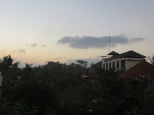 Katja sits out on the terrace and watch the sun rise while reading course material and drinking tea